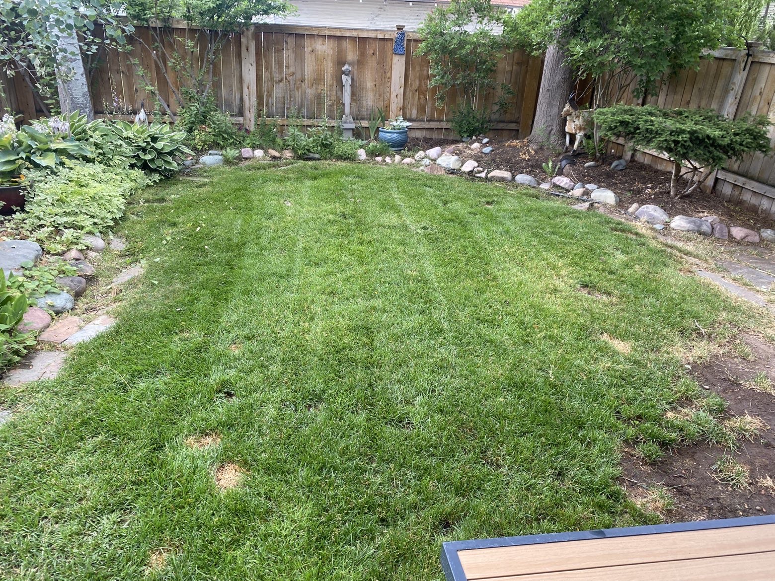 Lawn care project 8