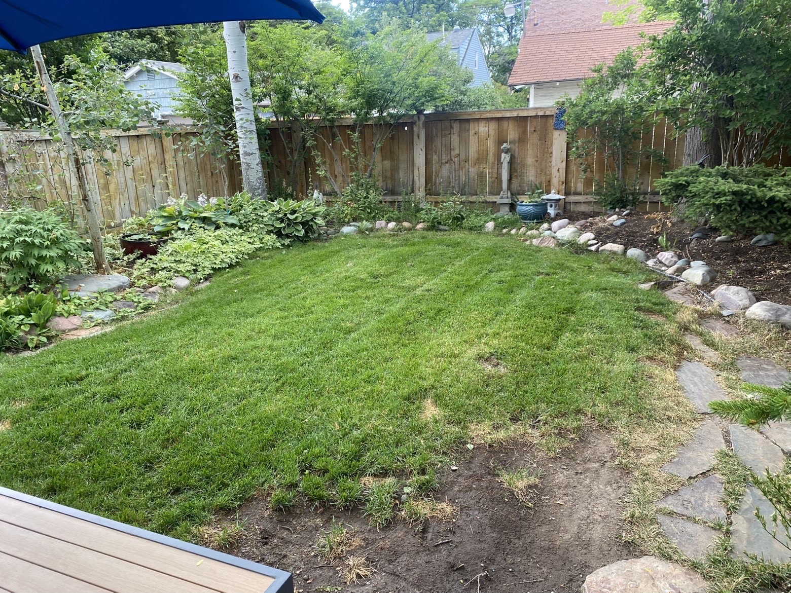 Lawn care project 10