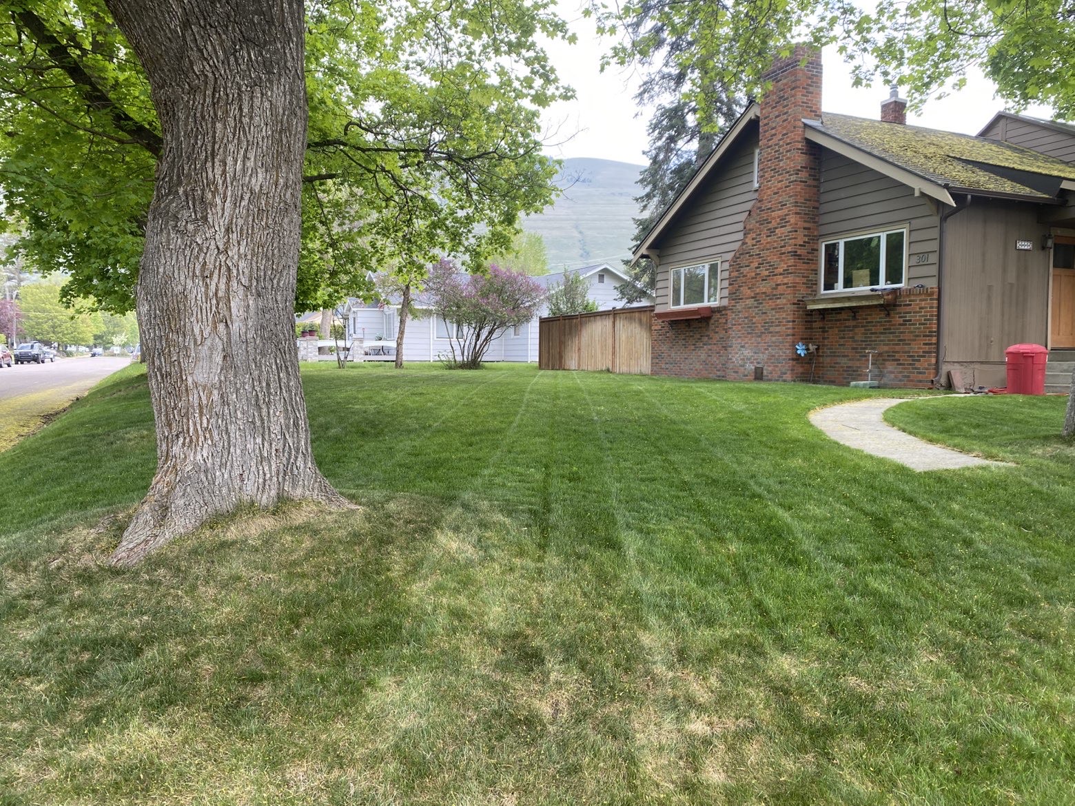 Lawn care project 17