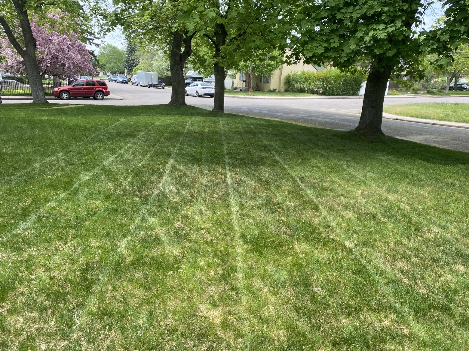 Lawn care project 18