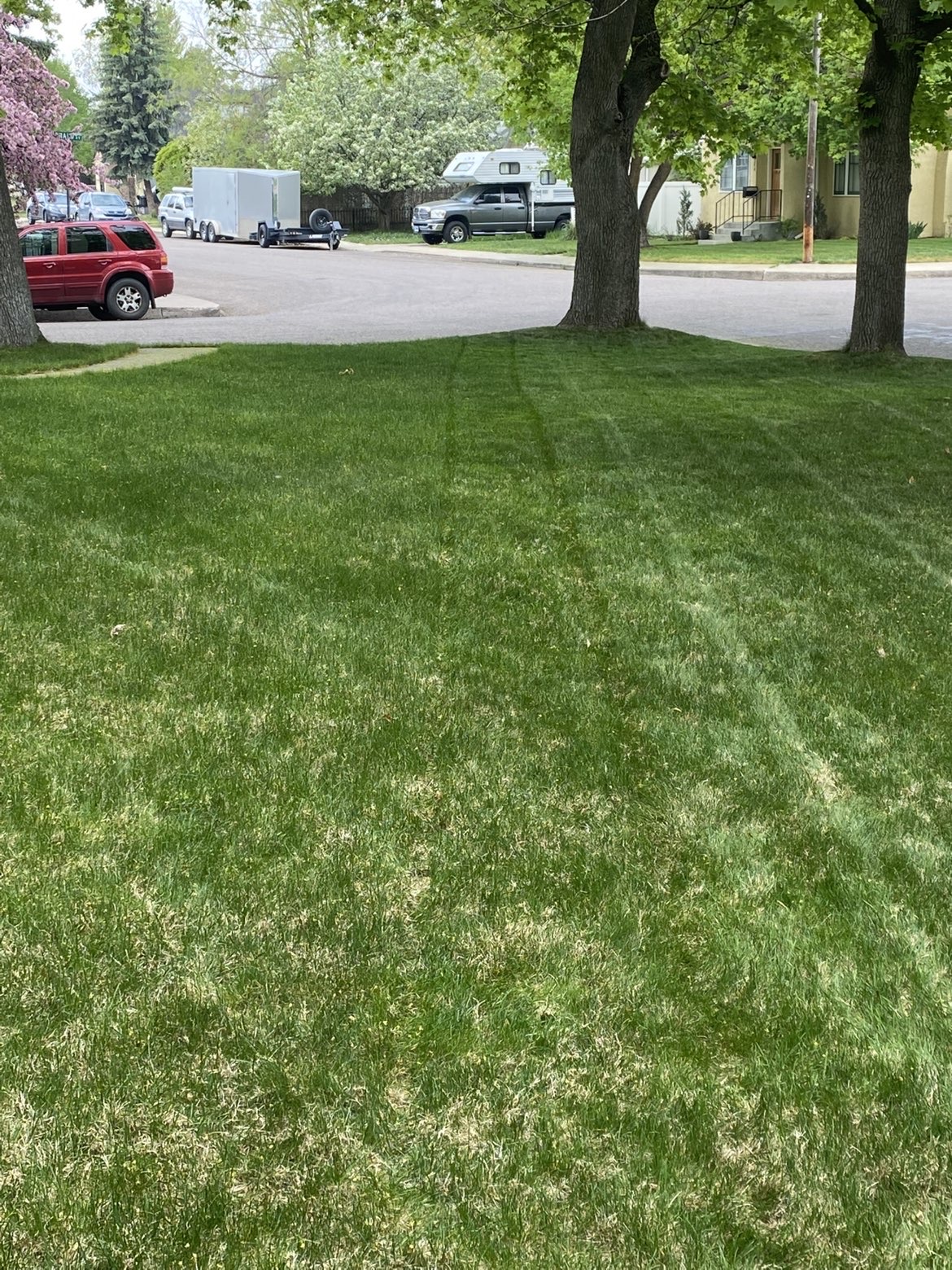 Lawn care project 19
